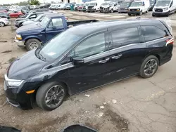 Honda salvage cars for sale: 2022 Honda Odyssey Elite