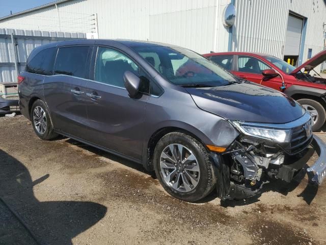 2022 Honda Odyssey EXL