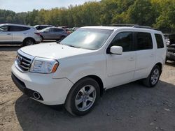 Honda salvage cars for sale: 2013 Honda Pilot EXL