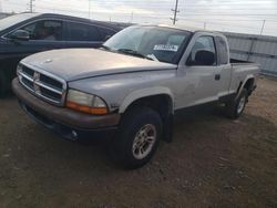 1997 Dodge Dakota en venta en Elgin, IL