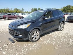 Salvage cars for sale at Columbus, OH auction: 2013 Ford Escape SEL