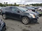 2011 Cadillac SRX Luxury Collection