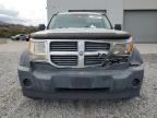 2007 Dodge Nitro SXT