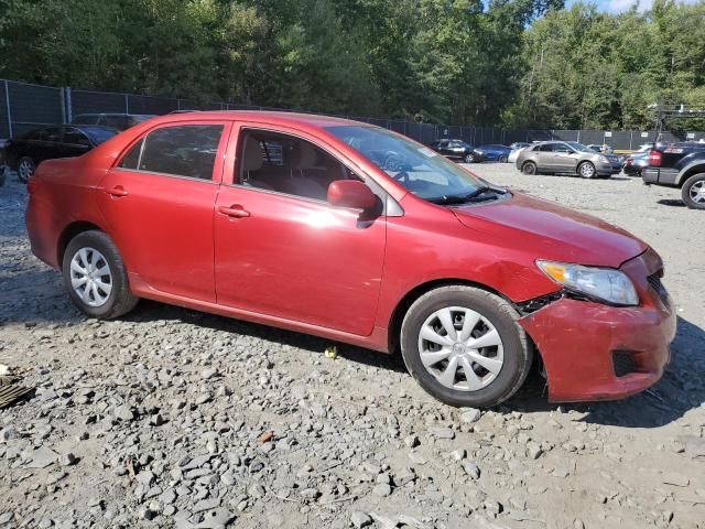 2010 Toyota Corolla Base