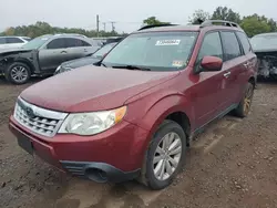 Subaru salvage cars for sale: 2013 Subaru Forester 2.5X Premium