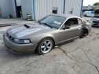 2002 Ford Mustang GT