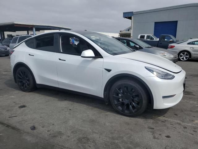 2020 Tesla Model Y