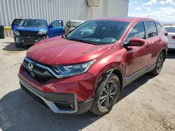 Honda salvage cars for sale: 2020 Honda CR-V EX