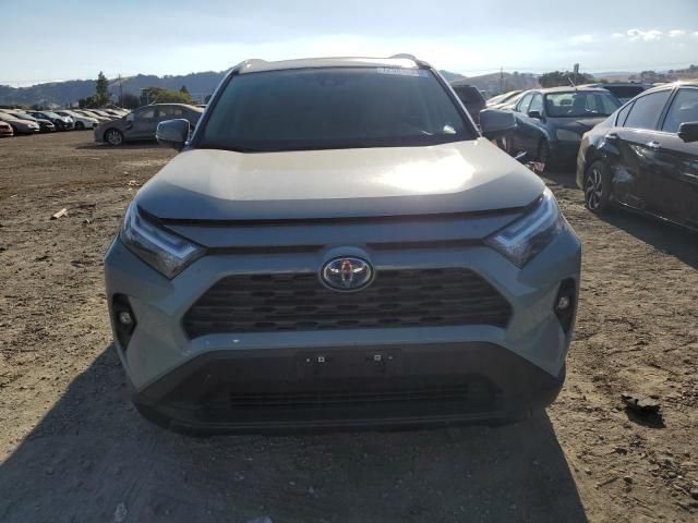 2022 Toyota Rav4 XLE Premium