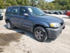 2005 Ford Escape XLS