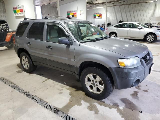 2007 Ford Escape XLT