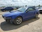 2003 Ford Mustang GT