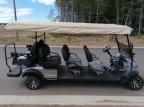 2024 Other 2024 Dreampro Golf Cart