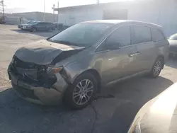 Honda salvage cars for sale: 2013 Honda Odyssey EXL