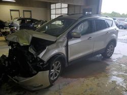 Salvage cars for sale at Indianapolis, IN auction: 2017 Ford Escape SE