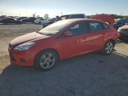 Salvage cars for sale at Indianapolis, IN auction: 2013 Ford Focus SE