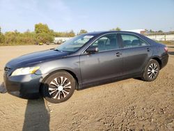 Toyota Vehiculos salvage en venta: 2009 Toyota Camry Base