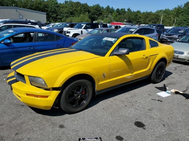 2005 Ford Mustang