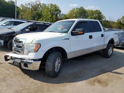 Salvage cars for sale at Marlboro, NY auction: 2013 Ford F150 Supercrew