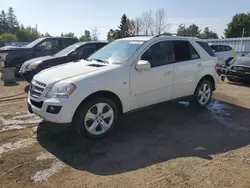 Flood-damaged cars for sale at auction: 2009 Mercedes-Benz ML