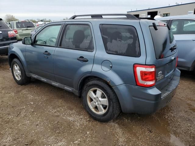 2010 Ford Escape XLT