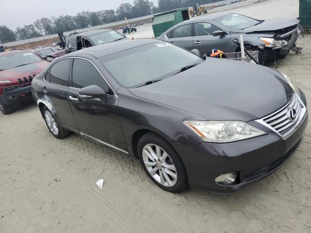 2010 Lexus ES 350