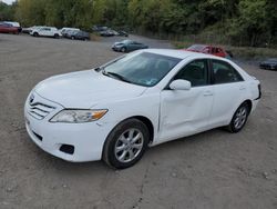 Toyota salvage cars for sale: 2011 Toyota Camry Base