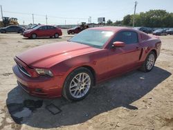 Ford salvage cars for sale: 2014 Ford Mustang