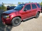 2006 Ford Escape Limited