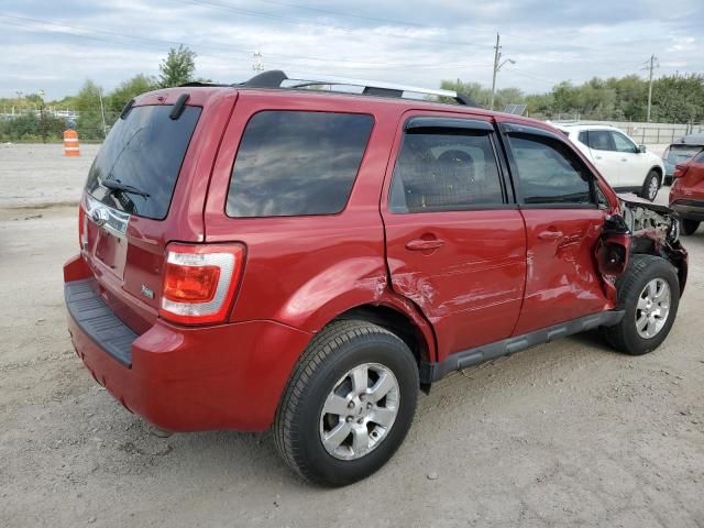 2010 Ford Escape Limited