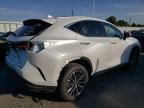 2024 Lexus NX 350H Base