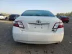 2009 Toyota Camry Hybrid