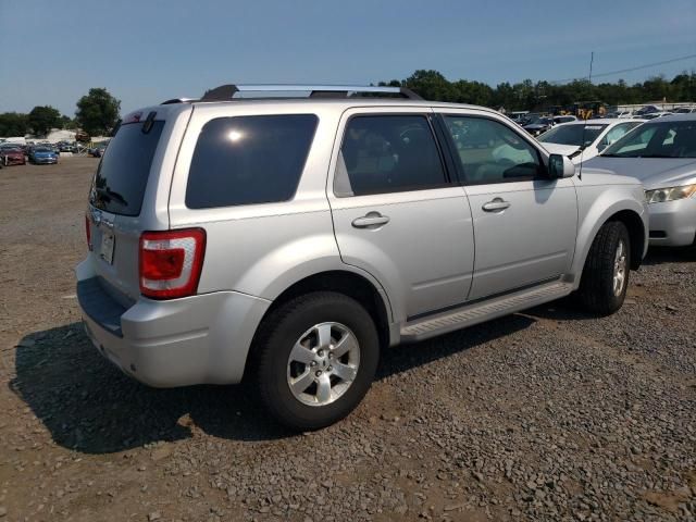 2009 Ford Escape Limited