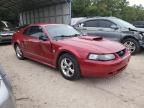 2004 Ford Mustang