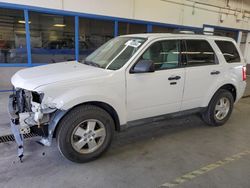 Salvage cars for sale at Pasco, WA auction: 2011 Ford Escape XLT