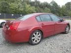 2004 Nissan Maxima SE