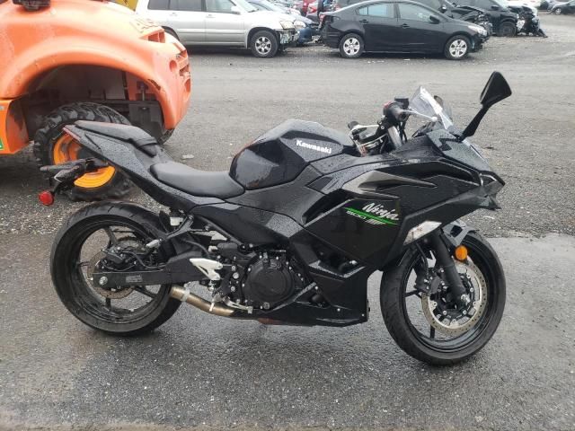 2024 Kawasaki EX500 H