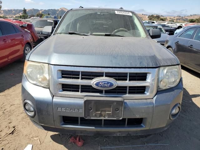 2010 Ford Escape XLT