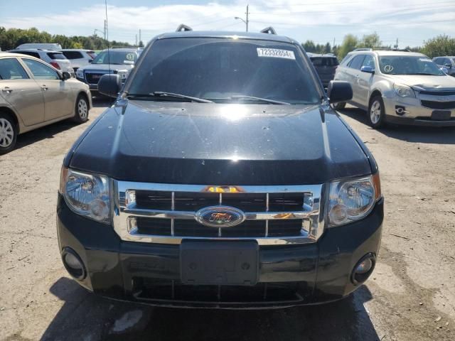 2008 Ford Escape XLT