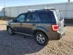 2008 Ford Escape Limited