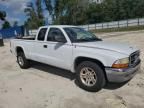 2003 Dodge Dakota SLT