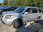 2008 Honda Pilot EXL