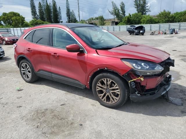 2021 Ford Escape SEL