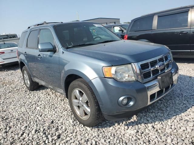 2011 Ford Escape Limited