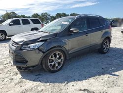 Ford salvage cars for sale: 2015 Ford Escape Titanium