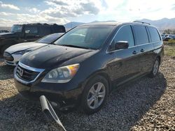 Honda Odyssey salvage cars for sale: 2010 Honda Odyssey Touring