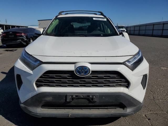 2023 Toyota Rav4 LE