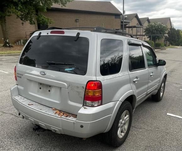 2007 Ford Escape HEV