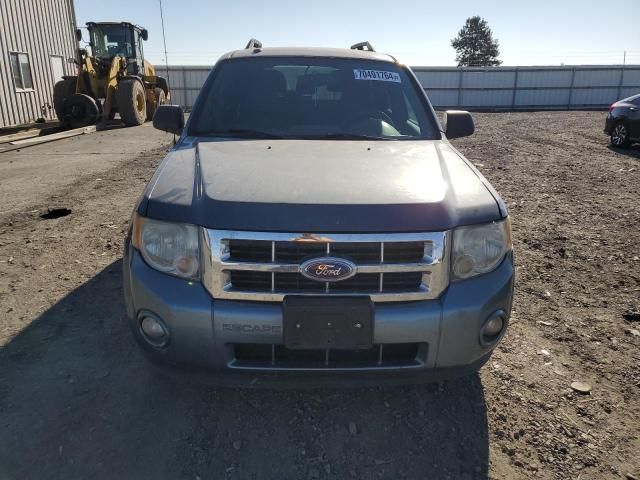 2011 Ford Escape XLT