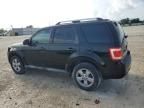 2010 Ford Escape Limited